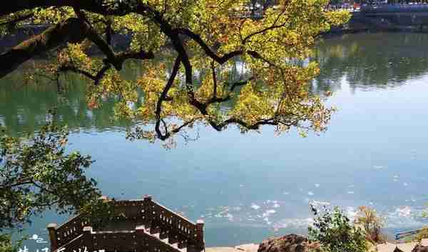 宁波旅游日来了，半价和免票风景达60多处，都有哪些景点值得看？