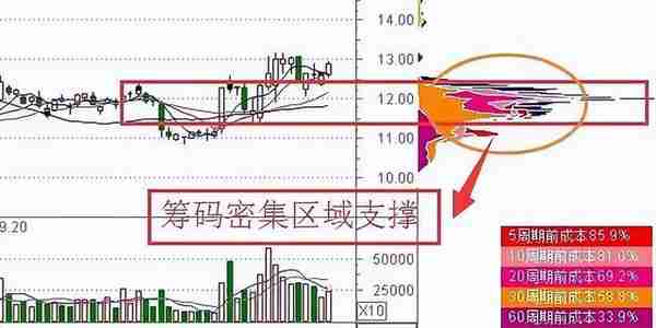 中国股市：散户生存法则，牢记江恩买卖八法则，适用所有投资者