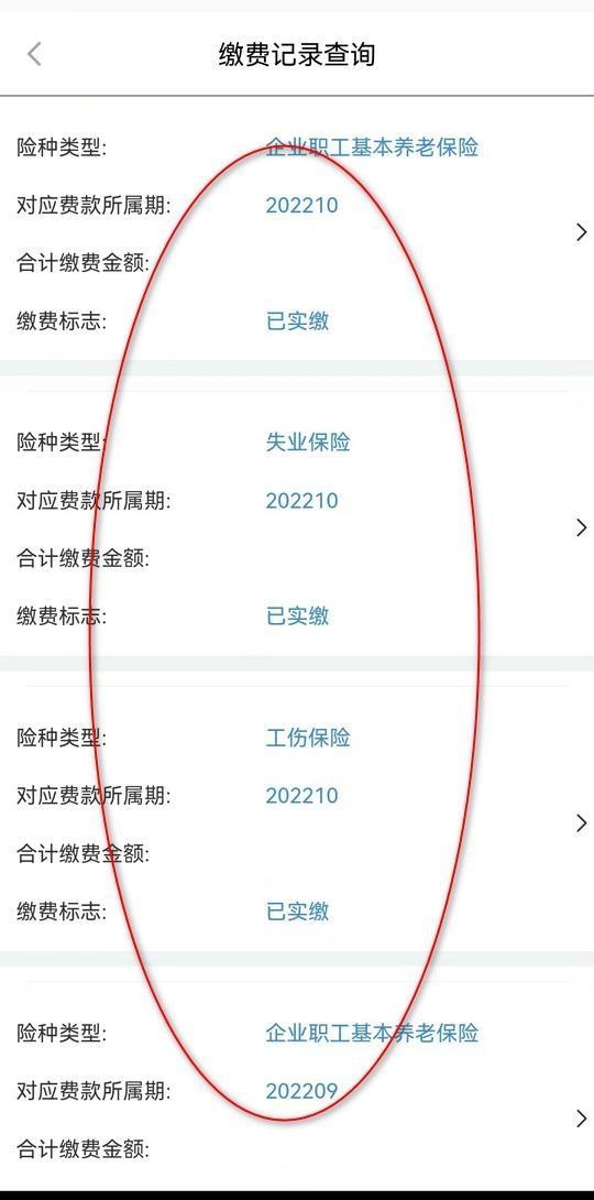 社保明细网上怎么查询打印