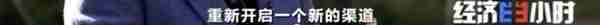 100元能买啥？2件衣服、4个包、1条裤子1双鞋...咋做到的？