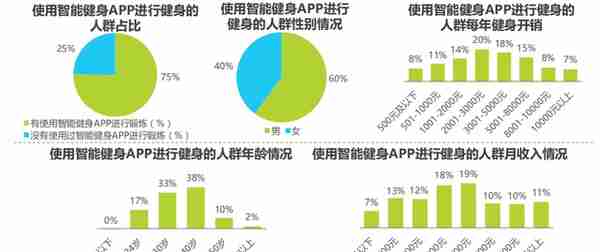 坚蛋运动产品分析报告