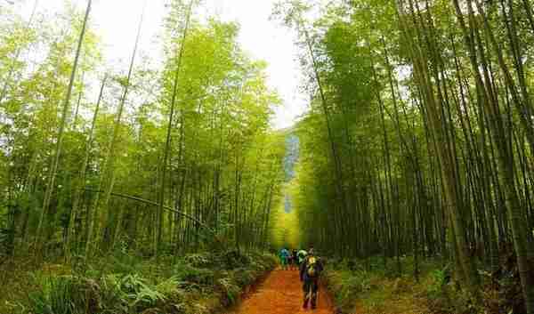 从化乡村度假-广州最高山村阿婆六村旅游攻略，登山徒步观星线路