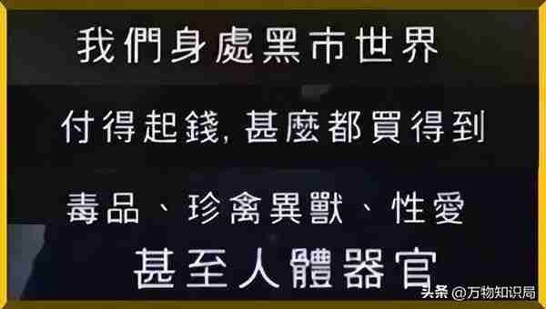 200万能买一个女模特，暗网是什么？为何亲历者都闭口不谈？