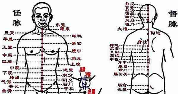 甲骨文演义“牝、牡”字：对公母男女及阴阳解读破解华夏文明密码