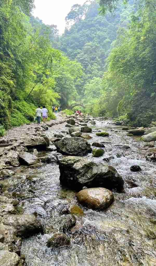 超详细超实用！峨眉山2天1晚徒步攻略收藏起来慢慢看