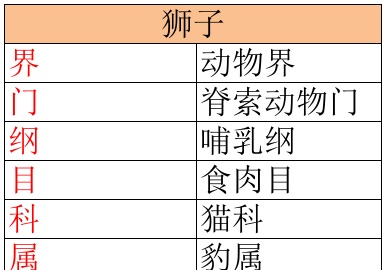 辟谣：狮子被分到犬科了？分类学上并无此结论，狮子仍属猫科