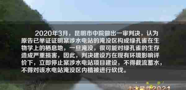 赖小民案、辣笔小球案……推动法治进程2021年度10大案件