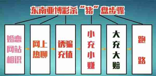 PUA、杀猪盘：以爱情为饵，用金钱下套。被骗女孩：诛心致命