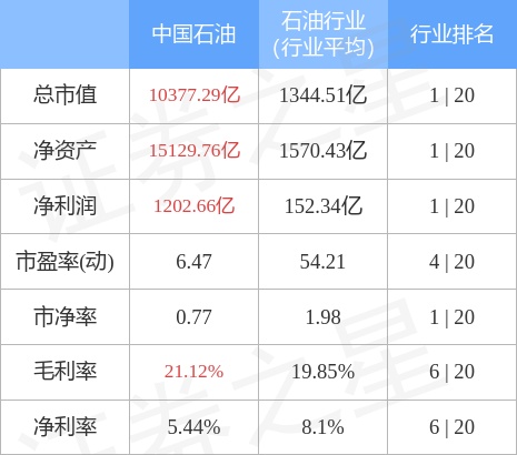 中国石油投资净收益分析表(中国石油收益率)