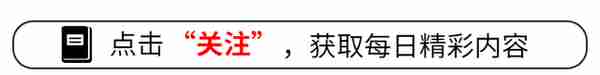 从出生到成熟，极品美食澳洲龙虾，注意这几点便可成为养殖高手