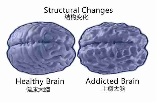 为什么赌博到最后都是输？因为你永远无法战胜“凯利公式”