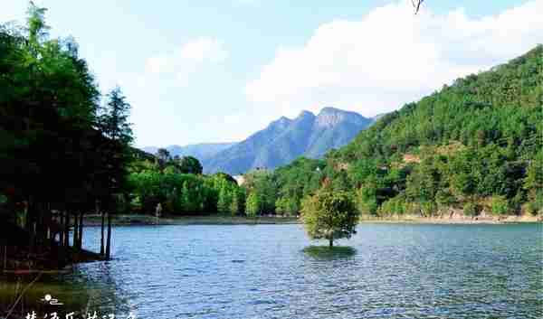 宁波旅游日来了，半价和免票风景达60多处，都有哪些景点值得看？