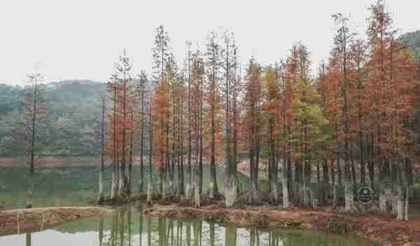 穿越春夏秋冬！带你看遍义乌美景