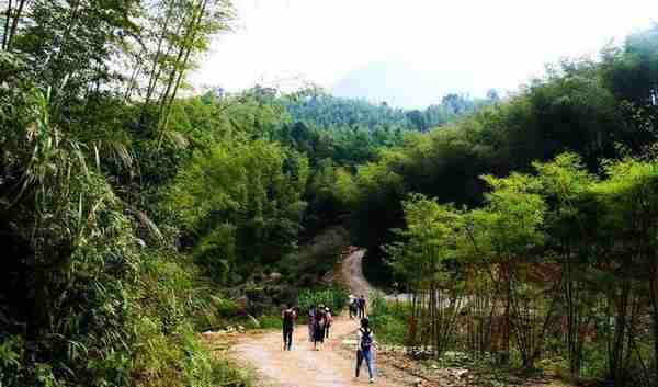 从化乡村度假-广州最高山村阿婆六村旅游攻略，登山徒步观星线路