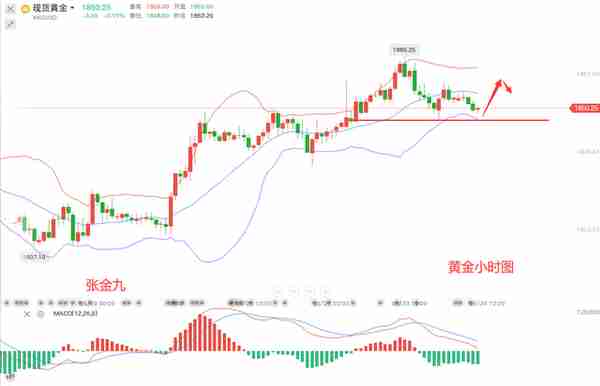 张金九5/24黄金高位震荡调整继续看涨，今日走势分析及策略