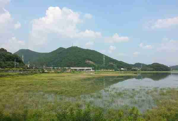 大泽湖湿地公园