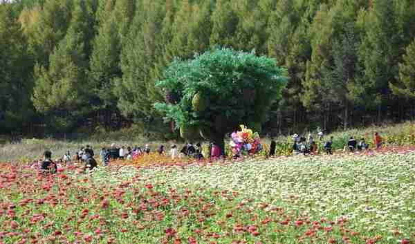 国庆假期去哪玩？延吉帽儿山（恐龙）文化旅游风景区等你来