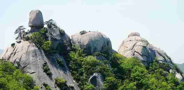 台州苍山海拔多少米