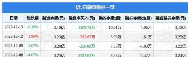 数字政通（300075）12月13日主力资金净卖出6270.00万元