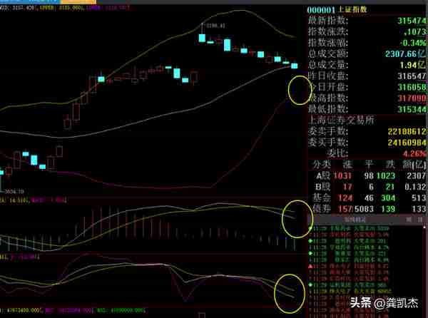 股市午评：黄金坑里有黄金，暂时不要盯大盘指数