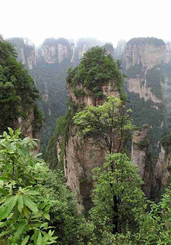 张家界旅游费用(张家界旅游费用预算)