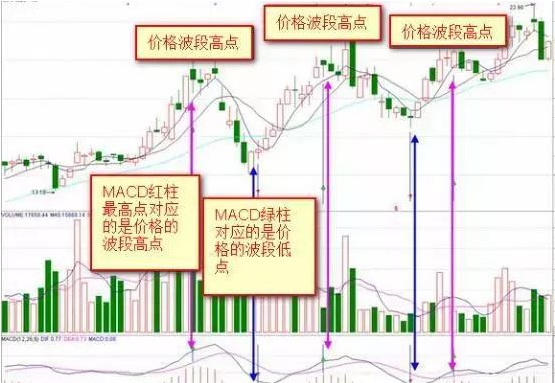 终于有人把“MACD”运用到连续盈利，死磕“红绿柱战法”，远比“金叉死叉”准确