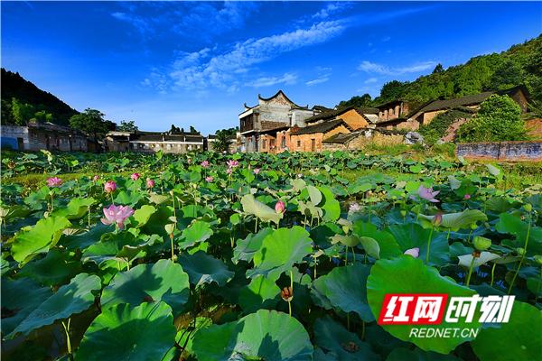 大约在冬季 乐驾游永州②丨“年味记忆 追寻乡愁”之旅攻略