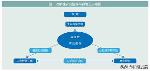 政策性农业担保平台化转型研究