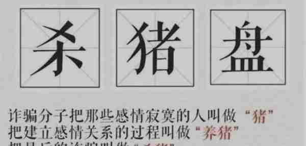 杭州一女子被骗五百万后，仍称骗子“连文字都有灵魂”