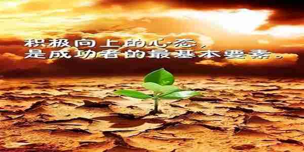 4.10今日黄金原油走势分析及独家交易策略