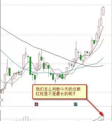 终于有人把“MACD”运用到连续盈利，死磕“红绿柱战法”，远比“金叉死叉”准确