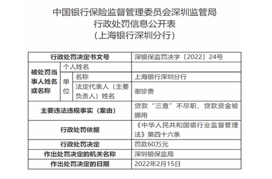 上海银行职工监事张磊2021年薪酬301.4万待遇好 是董事长金煜近3倍