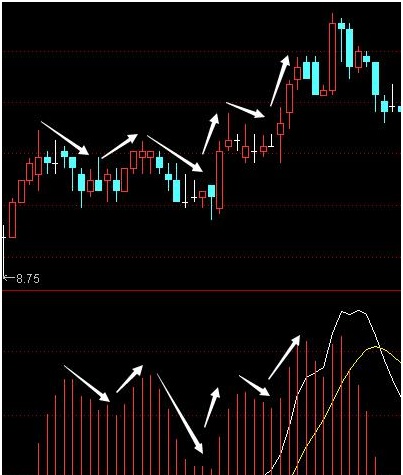 终于有人把“MACD”运用到连续盈利，死磕“红绿柱战法”，远比“金叉死叉”准确