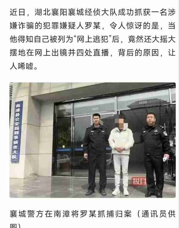 网红经济乱象：逃犯罗某被警方抓获引发社会反思