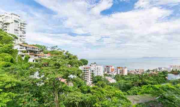 杨家溪风景区要门票吗