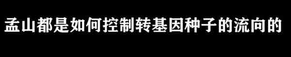 种业霸权之路：“种子大鳄”孟山都，是如何发动“种子战争”的？