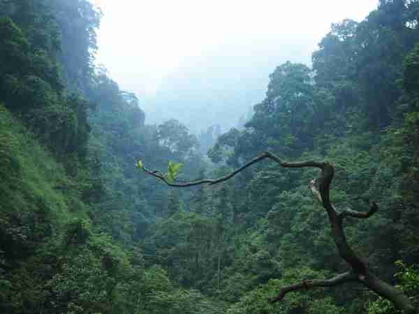 成都到峨眉山多少小时