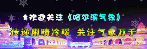 【文明哈尔滨】“解码”农村赶集 浓浓年味扑面而来