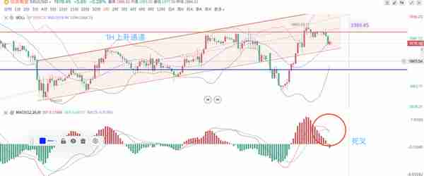 基本面提振，黄金续涨有望