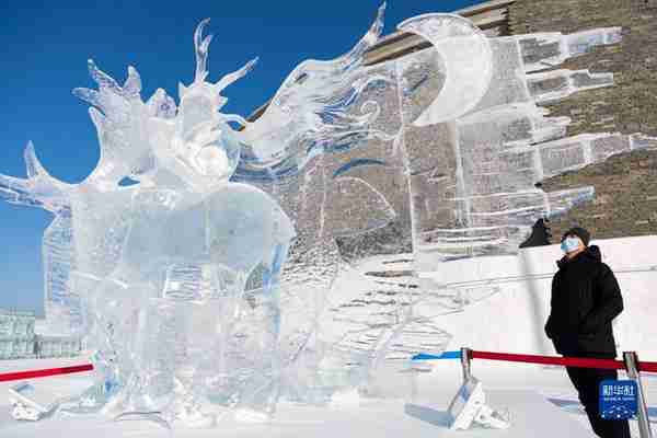 哈尔滨冰雪大世界：魅力冰雕引客来