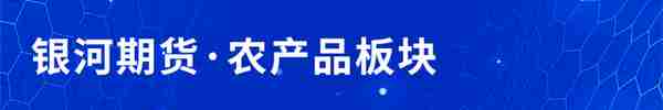 国际国内减产，白糖涨势强劲！短期内如何操作？