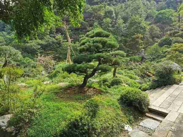 岳麓山后山你去过吗？探秘西大门、桃花岭、祇园