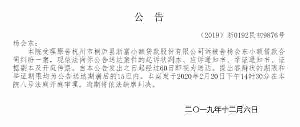 【（2019）浙0192民初9876号】杭州市桐庐县浙富小额贷款股份有限公司诉杨会东小额借款合同纠纷