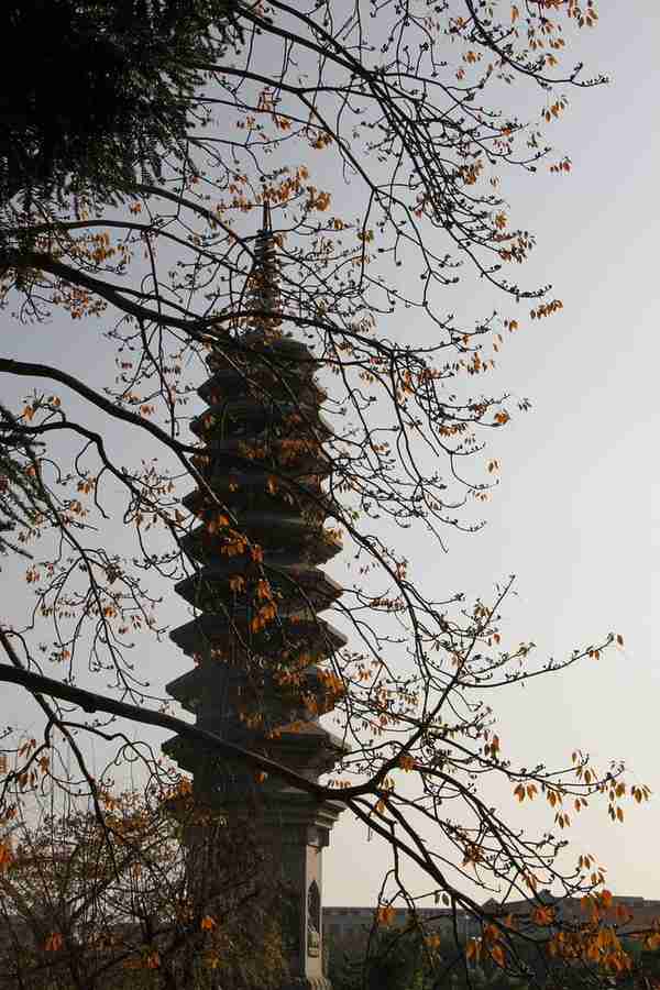 厦门南普陀寺景点介绍