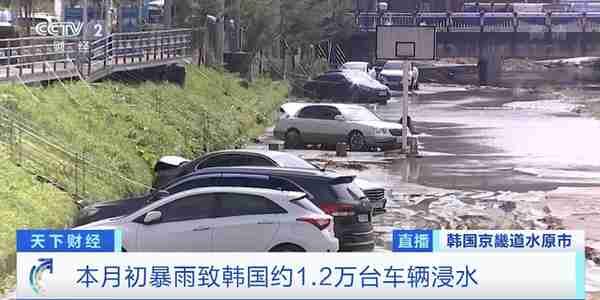 新车交货迟，二手车“火了”！上半年韩国二手车交易均价暴涨16%