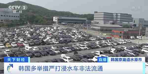 新车交货迟，二手车“火了”！上半年韩国二手车交易均价暴涨16%