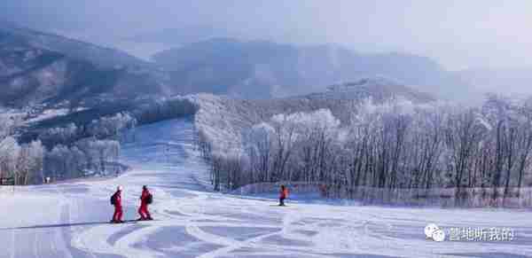 大东北的这几家滑雪场太赞了，遛娃度假一站搞定