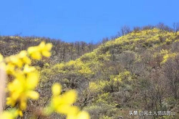 鲁山境内的景点星罗棋布，这些原生态景点不收门票，让你嗨个够！